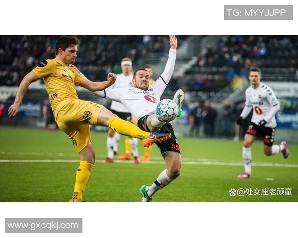 挪威足球明星介绍及其在国际赛场上的辉煌成就与影响力分析