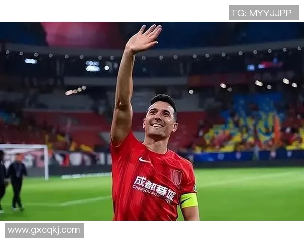 成都足球明星数量揭秘他们在这座城市的影响力与魅力