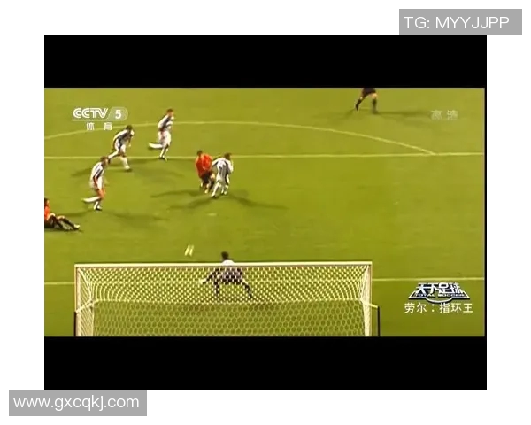 足球巨星传记精选领略他们的辉煌与奋斗历程